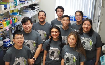 Honors Scholarship Project: Brian Nguyen’s Journey in Bacteriophage Research
