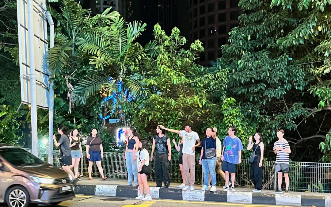 Stares, Street Food, and Subways: Malaysia/Singapore and South Korea