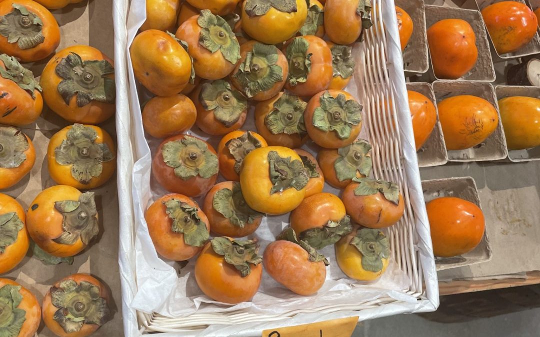 Ripe: A Four-Year Reflection in One Word
