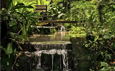 Student perspective: Malaysia and singapore through pictures